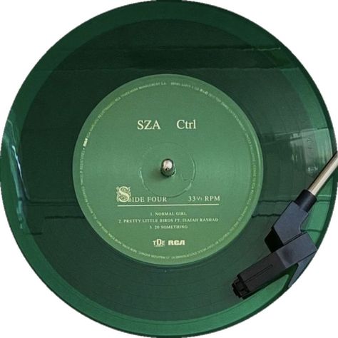 Sza Ctrl Vinyl, Ctrl Vinyl, Ctrl Sza, Music Zine, Sza Merch, Sza Collage, Iphone Decor, Sza Singer, Sza Ctrl