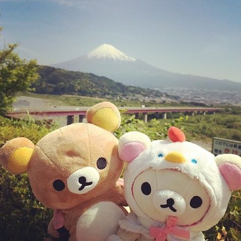 Rilakkuma Plushie, Stationery Kawaii, Kawaii Toys, Japanese Candy, Kawaii Gifts, Kawaii Plushies, Kawaii Shop, It Goes On, Cute Stuffed Animals