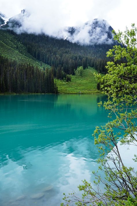 Emerald lake, British Columbia Lake Aesthetic, Kelowna British Columbia, Emerald Lake, Light Spring, British Columbia, Lake House, Vancouver, Landscape Photography, Columbia