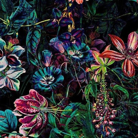 Burcu Korkmazyürek on Instagram: "EXOTIC GARDEN - NIGHT IX 🌙 @society6 . . . . #night #midnight #pattern #flowers #floral #botanical #tropical #exotic #garden #art" Tropical Gothic Aesthetic, Tropical Goth Aesthetic, Tropical Goth Decor, Dark Tropical Aesthetic, Spear Aesthetic, Goth Pool, Tropical Academia, Exotic Aesthetic, Tropical Halloween