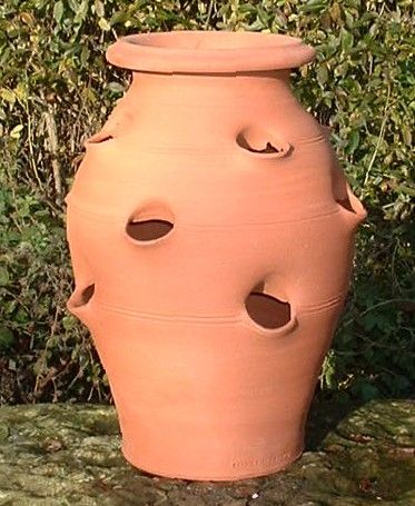 Terracotta strawberry pots are great for growing trailing plants and herbs Strawberry Pot, Strawberry Pots, Strawberry Planters, Strawberry Garden, Growing Strawberries, Herb Planters, Strawberry Plants, Beautiful Fruits, Planting Herbs