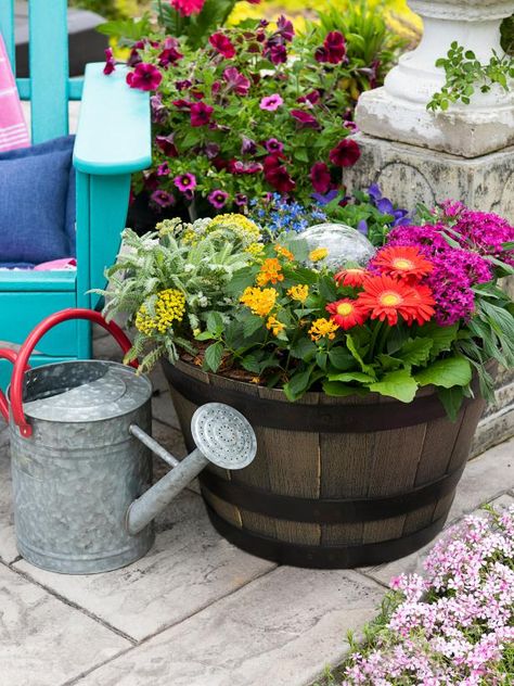 25 Ways to Pretty Up Your Patio for Spring Summer | HGTV Winter Patio, Planting A Rainbow, Backyard Summer, Gerber Daisy, Planting Ideas, Porch Makeover, Gerber Daisies, Spring Pictures, Diy Rainbow