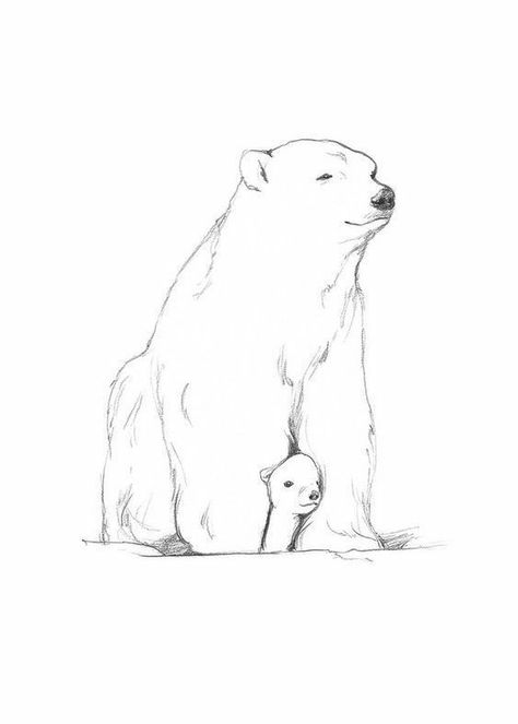 Polar Bear Outline, Bear Outline, Polar Bear Tattoo, Polar Bear Drawing, Bear Sketch, Bear Tattoo Designs, Polar Bear Art, Urs Polar, Baby Polar Bears