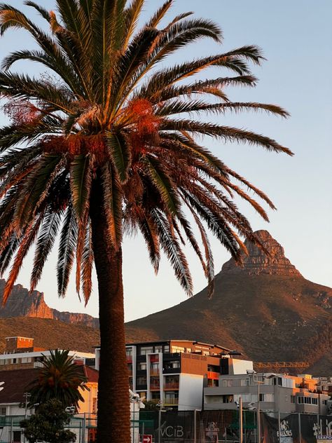 #capetown #campsbay #capetowntravel #southafrica #southafricatravel #summervibes Cape Town South Africa Aesthetic, South Africa Aesthetic, Adidas Campaign, Africa Aesthetic, Sud Africa, Living Aesthetic, Cape Town Travel, Dream Holidays, Camps Bay