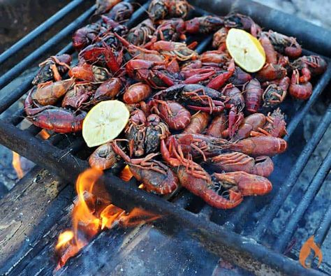 Get your Mardi Gras on with grilled crawfish served with homemade Old Bay aioli. This is one of my shortcut recipes that I take on camping trips to elevate our trip to the 5-star glamping level. How To Cook Crawfish, Crawfish Recipes, Camping Things, Backyard Grilling, Funny Camping, Crawfish Boil, Grilled Seafood, Survival Camping, Old Bay