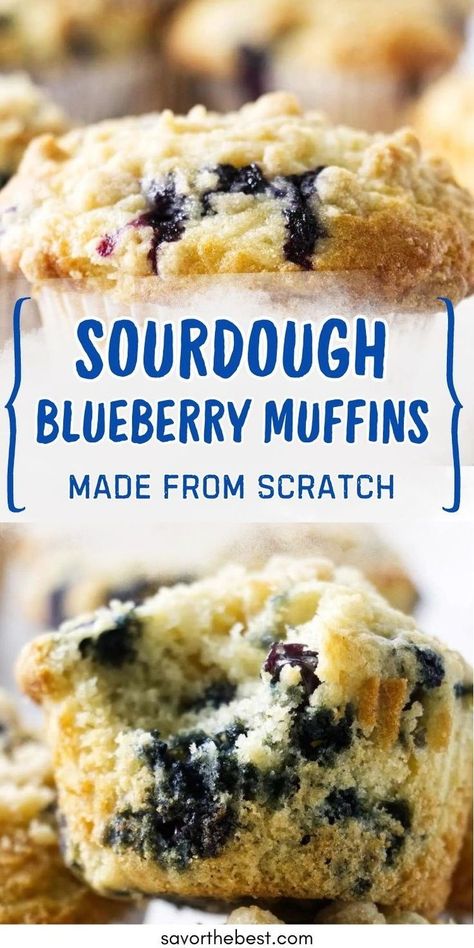 Step aside, plain muffins. Our Sourdough Blueberry Muffins are here to take your snack game from zero to hero. Loaded with juicy blueberries and a next-level sourdough kick, topped with a sinful crumb topping that’s just showing off. Easy to mix up, with a lazy option for overnight prep—because sometimes, you just want to wake up to greatness. Sourdough Blueberry Muffins, Plain Muffins, Use Sourdough Discard, Sourdough Blueberry, Portable Breakfast, Sourdough Muffins, Blueberry Muffins Recipe, Easy Blueberry Muffins, Banana Blueberry Muffins