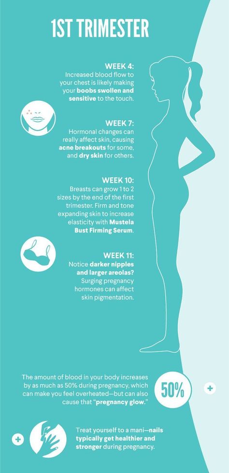 First trimester is an exciting time, because that's when you'll really start to notice some change. Trimester By Weeks, Pregnancy First Trimester, Pregnancy Info, 1st Trimester, Pregnancy Information, Pumping Moms, Pregnant Diet, Baby Sleep Problems, Trimesters Of Pregnancy