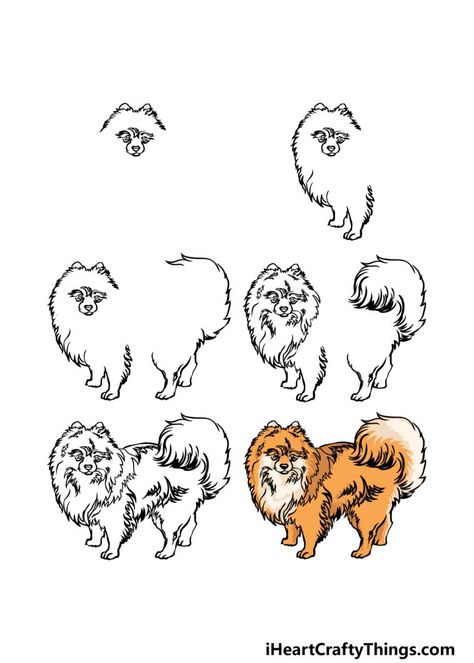 Draw Pomeranian, Pomeranian Drawing, Drawing Ideas Step By Step, Drawing Cool, Fun Drawings, Dog Drawing Simple, Pomeranian Husky, Puppy Sketch, Different Dog Breeds