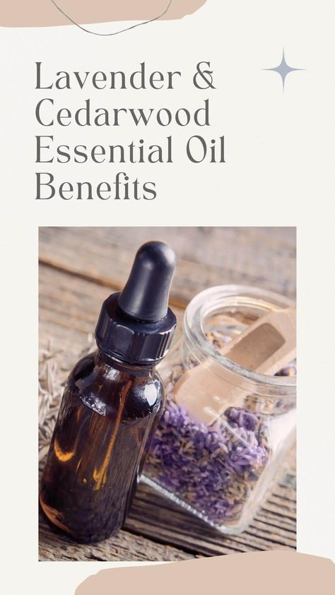 Lavender Cedarwood Essential Oil Blend, Cedarwood Essential Oil Benefits, Cedarwood Essential Oil Uses, Lavender Essential Oil Benefits, Lavender Massage Oil, Cedar Essential Oil, Essential Oil Combinations, Lavender Benefits, List Of Essential Oils