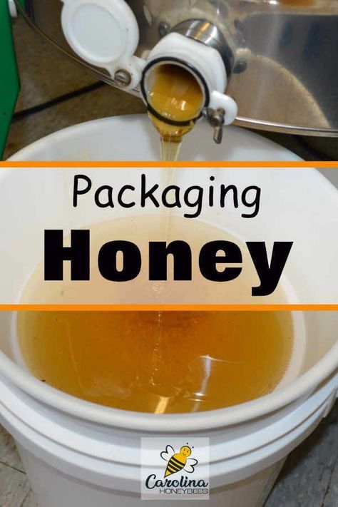 Diy Beekeeping, Honey Processing, How To Start Beekeeping, Farm Crops, Honey Harvest, Honey Bees Keeping, Honey Bee Pollen, Bee Friendly Plants, Backyard Bee