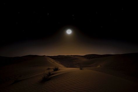 Desert At Night Aesthetic, Night Desert Aesthetic, Desert Night Aesthetic, Dark Desert Aesthetic, Night Time Desert, Arabian Desert Aesthetic, Nevada Aesthetic, Desert Grunge, Desert Night Sky