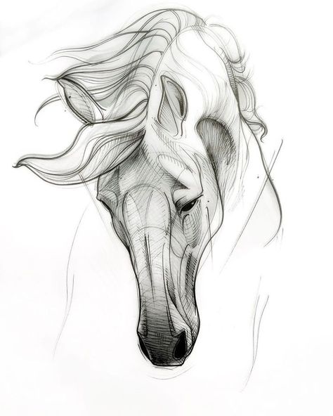 Horse Head Drawing, Horse Tattoo Design, Horse Art Drawing, Horse Sketch, Butterfly Tattoos, Horse Tattoo, Tattoo Sketch, Unique Drawings, Horse Drawing