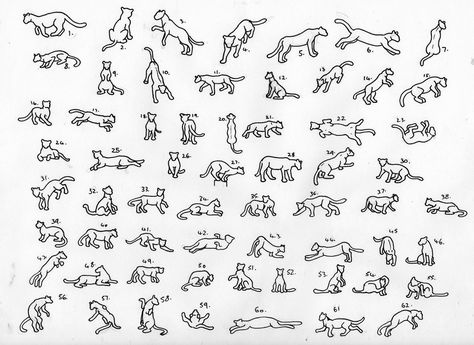 62 Feline Poses by TickTockTheBoomBunny on DeviantArt How To Draw Cat Poses, Tiger Poses Drawing, Dynamic Cat Poses, Cat Poses Drawing Reference, Tiger Poses, Cat Pose Reference, Cat Poses, Cat Anatomy, Lion Drawing