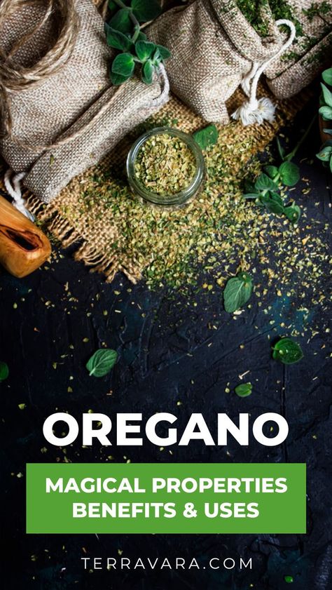 Oregano magical properties. Medicinal Properties Of Oregano, Oregano Benefits, Oregano Magical Properties, Oil Of Oregano Benefits, Oregano Tea Benefits, Plant Experiments, Oregano Plant, Oregano Essential Oil, Growing Healthy Hair