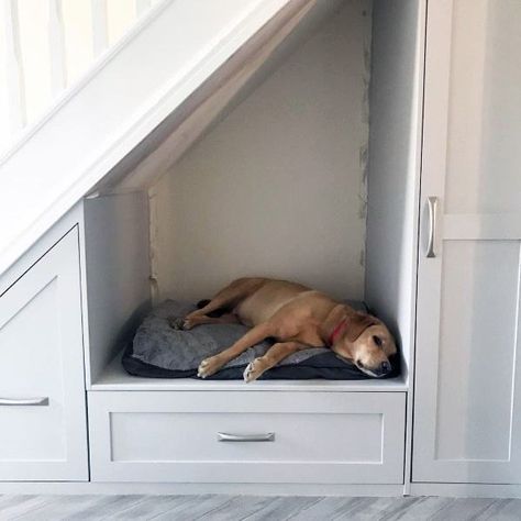 Top 70 Best Under Stairs Ideas - Storage Designs Beneath Stairs Storage, Dog Corner Under Stairs, Storage Area Under Stairs, Understairs Storage With Dog Bed, Under Stairs Renovation, Low Under Stairs Storage Ideas, Pet Bed Under Stairs, Under Stair Storage And Dog Bed, Below The Stairs Ideas