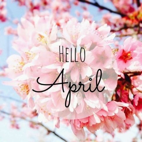 Hello April april hello april april quotes happy april April Images, Neuer Monat, April Quotes, April April, April Birth Flower, Seasons Months, Heather Stillufsen, Hello April, Spring Quotes