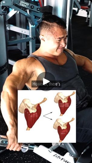 446K views · 33K reactions | No, your shoulders won't explode if you turn your arms in while raising. Shoulder impingement is an outdated diagnosis that has next to no correlative or causative link to shoulder pain or issues. If something DOES hurt you, please avoid it or adjust your technique. But there's no one position that is universally bad.

Need some structure to your workouts? Get my bodybuilding programs on Ganbaru. Just head to my profile 🫡

PMIDs:
33244115: No relationship between the acromiohumeral distance and pain in adults with subacromial pain syndrome
31377124: Internal rotation can increase or have no effect on acromiohumeral distance (the commonly thought cause of shoulder pain)
34852803: Individuals with subacromial impingement syndrome had a larger acromiohumeral dist No Relationship, Shoulder Impingement, Bodybuilding Program, Muscle Strain, Shoulder Pain, I Work Out, Training Tips, My Profile, Bodybuilding