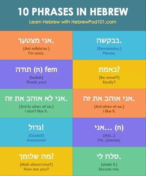 Arabic Basics, Arab Language, Learn Hebrew Alphabet, Arabic Conversation, Hebrew Language Learning, Hebrew Education, Hebrew Vocabulary, Hebrew Language Words, Spoken Arabic