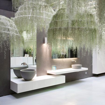 Tillandsia Usneoides, Relaxing Bathroom, Plants Hanging, Air Plant Display, Tillandsia Air Plant, Spanish Moss, Plant Lighting, Air Plant Holder, The Ceiling