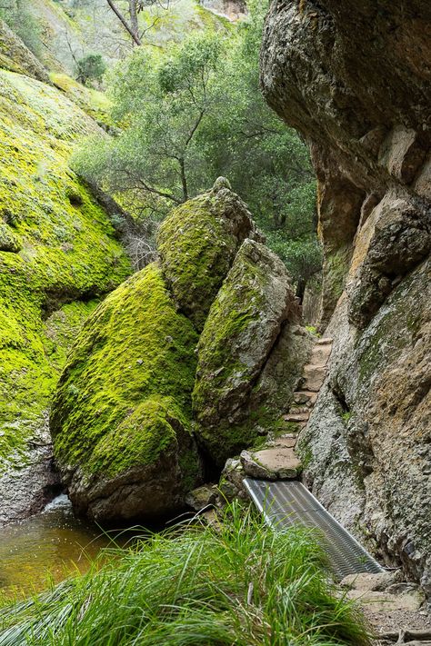 5 Things We Did Wrong at Pinnacles National Park — This Here Town Pinnacle National Park, Pinnacles National Park California, Beautiful National Parks, National Park Lodges, Pinnacles National Park, Oregon Road Trip, California Summer, National Parks Map, Dos And Don'ts