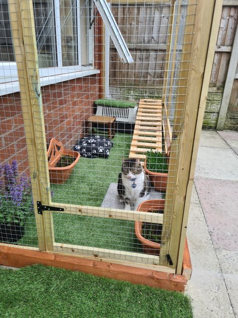 Catio with faux grass, all made with recycled materials Very Tiny House, Outdoor Cat House Plans, Catio Ideas Cat, Outdoor Cat House Diy, Sophisticated House, Cat House Plans, Hamsters As Pets, Cat Fence, Small Yard Landscaping