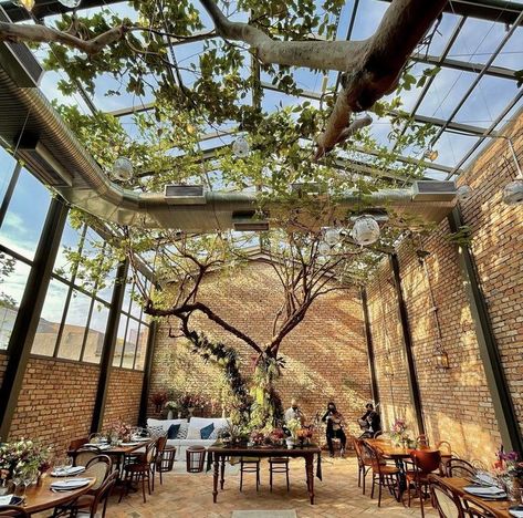 Backyard Restaurant, Greenhouse Restaurant, Cafe Design Inspiration, Greenhouse Cafe, Rooftop Restaurant Design, Glass Restaurant, Tree Restaurant, Modern Restaurant Design, Bakery Shop Design