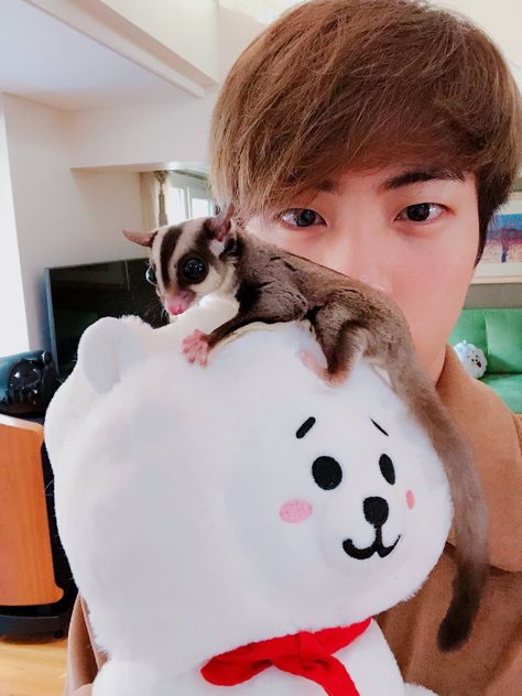 BTS Jin with pet odeng 4 December, Jin Bts, Seokjin Bts, Worldwide Handsome, Fan Fiction, Bts Members, Bts Bangtan Boy, Bts Jin, Bts Boys