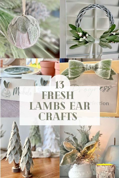 Lambs Ear Ornaments, Lambs Ear Centerpiece, Lambs Ear On Christmas Tree, Lambs Ear Plant Uses, Dried Lambs Ear Projects, Lambs Ear Decor, Lambs Ear Christmas Tree, Lambs Ear Christmas Decor, Lambs Ear Crafts