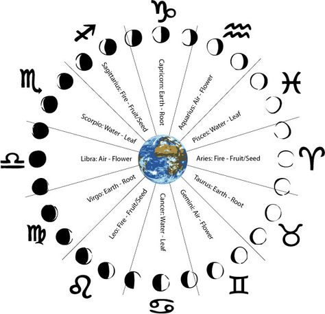 Moon Phases and their corresponding Zodiac Signs. Moon Sign Chart, Moon Sign Meaning, Moon Chart, My Moon Sign, Moon Zodiac, Zodiac Wheel, Zodiac Signs Chart, Spiritual Things, Aries Tattoo