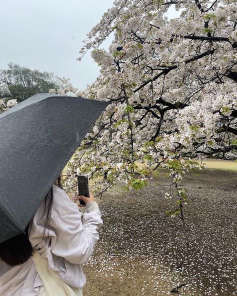 spring, sakura, flowers, cherry blossom, japan, nature, aesthetic, soft aesthetic, cozy, cute, photoinspo, photo inspiration Japan Nature Aesthetic, Cute Japanese Aesthetic, Japan Aesthetic Soft, Aesthetic Cherry Blossom, Shoujo Life, Cherry Blossom Aesthetic, Soft Life Aesthetic, Korean Vibe, Flowers Cherry Blossom