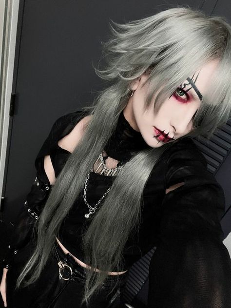 Long Grey Hair, Kei Visual, Haircuts For Long Hair, Hair Reference, Hair Inspo Color, Dream Hair, Long Hair Cuts, Grey Hair, Visual Kei