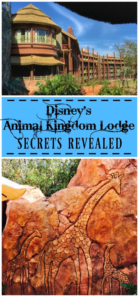 Disney Diys, Disney Packing, Couples Disney, Disney Worlds, Disney Animal Kingdom Lodge, Disney Animal Kingdom, Disney Countdown, Disney Cute, Disney Resort Hotels