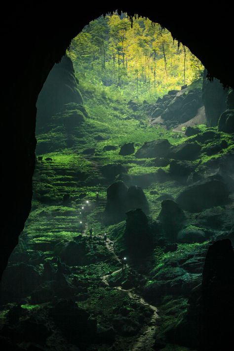 Forest Pics, Son Doong Cave, Matka Natura, Cave In, Have Inspiration, Vietnam Travel, Dream Decor, Magical Places, Nature Aesthetic