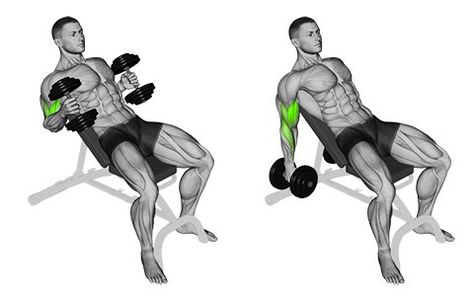 Incline dumbbell hammer curl Incline Hammer Curls, Dumbbell Hammer Curl, Upper Body Hiit Workouts, Pull Workout, Traps Workout, Seated Exercises, Bicep Muscle, Personalized Workout Plan, Arm Exercises