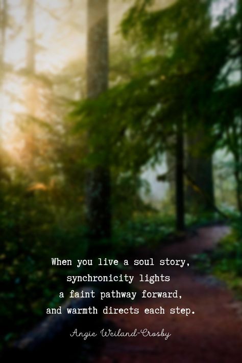 Beautiful Soul Quote | A blog post about finding the "why" of one's soul | Nature Photography of an enchanted sunlit forest pathway by Loren Cutler | "When you live a soul story, synchronicity lights a faint pathway forward, and warmth directs each step." Angie Weiland-Crosby #quotes #soulful #purpose #naturephotography #forest #sunlit #path #lorencutler #blogging #soul #love #friendship #synchronicity #angieweilandcrosby #momsoulsoothers Free Soul Quotes, Beautiful Soul Quotes, Forest Pathway, Sunlit Forest, Path Quotes, Water Quotes, Soul Love, Humanity Quotes, Soul Poetry