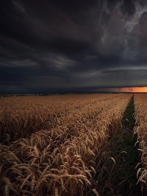 Autumn Storm Aesthetic, Stormy Landscape Photography, Twisters Aesthetic, Stormy Landscape, Storm Photography, Dark Nature Aesthetic, Stormy Weather, Wheat Fields, Meteorology