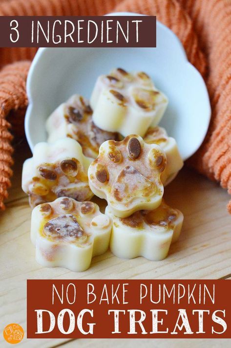 No Bake Pumpkin Dog Treats, Easy No Bake Treats, No Bake Dog Treats, Treat For Dogs, Pet Treats Recipes, Dog Treats Homemade Easy, Easy Dog Treat Recipes, No Bake Pumpkin, Frozen Dog Treats