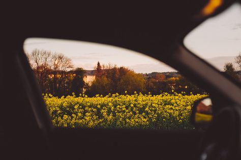 Gym Makeup, Sweat Proof Makeup, Film Pictures, Film Photography 35mm, Window View, Aesthetic Photography Nature, Better Day, Aesthetic Images, Home Is Where