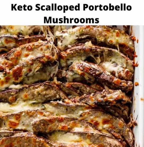 Keto Scalloped Portobello Mushrooms - Kizios Recipes Scalloped Portobello Mushrooms, Stuffed Portabella, Keto Mushrooms, Portabella Mushrooms, Garlic Cream Sauce, Stuffed Portabella Mushrooms, Mushroom Gravy, Portobello Mushroom, Shredded Mozzarella