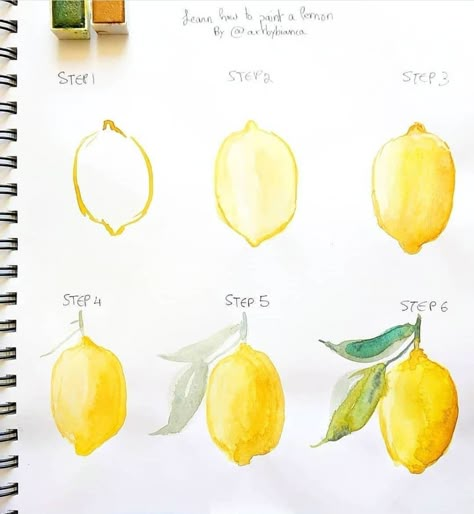 Tracing Pictures, Art Tutor, 귀여운 음식 그림, Watercolor Paintings For Beginners, Watercolor Fruit, Blog Art, Painting Canvases, Watercolour Flowers, Amazing Paintings