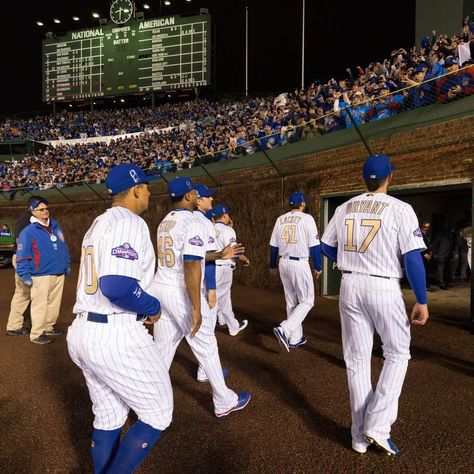 The Chicago Cubs celebrate their 2016 World Series win at their Home Opener at Wrigley Field - April 10, 2017 Chicago Sports Teams, Cubs Win, Go Cubs Go, Kris Bryant, Chicago Cubs Baseball, Cubs Baseball, Tv Sport, Chicago Sports, Wrigley Field