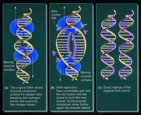 Cosmic Serpent, Sirian Starseed, Science Computer, Engineering Books, Sacred Science, Science Engineering, Teaching Biology, Spirit Science, Forensic Science