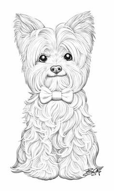 Yorkie Coloring Pages, Cat X Dog, Cat Woman Pfp, Dog Matching Pfp, Hoodie Matching Pfp, Cat In Hoodie, Hoodie Pfp, Cat Matching Pfp, Cats Pfp