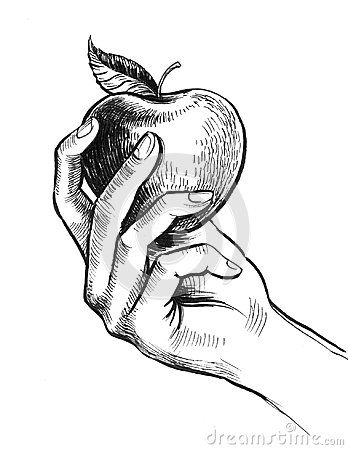 Hand Holding Apple, Holding An Apple, Apple Drawing, Apple Tattoo, Drawing Apple, Apple Illustration, Book Drawing, Hand Holding, Ink Illustrations