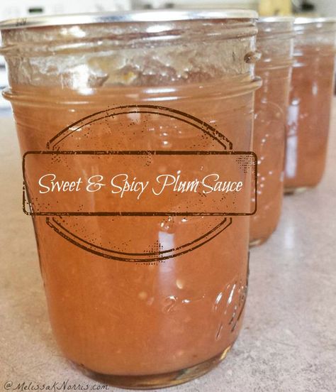 Plum Sauce Canning Recipe, Sauce For Eggs, Plum Sauce Recipe, Melissa K Norris, Sweet Sauces, Plum Recipes, Canning Recipe, Plum Sauce, Jam And Jelly