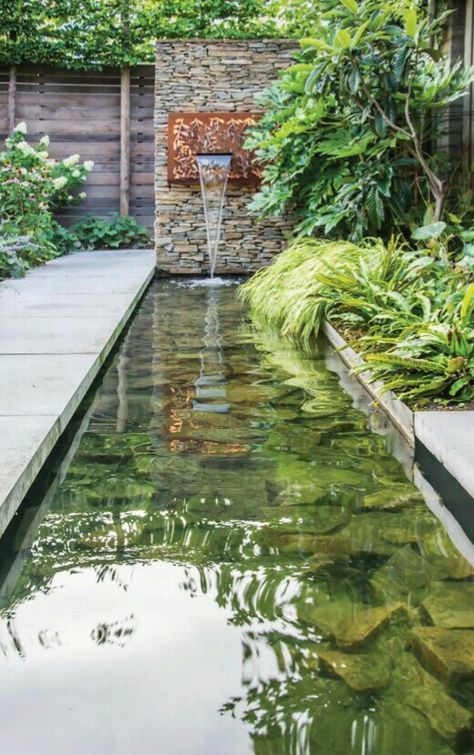 Modern Pond, Bali Garden, Kolam Koi, Garden Pond Design, Outdoor Water Features, Garden Water Feature, Courtyard Gardens Design, Garden Waterfall, Pond Water Features