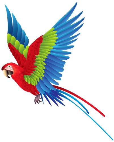 Parrot Png, Draw Bird, Bird Silhouette Art, Parrot Flying, Parrot Painting, Dove Pictures, Parrots Art, Flag Wallpaper, Desi Quotes