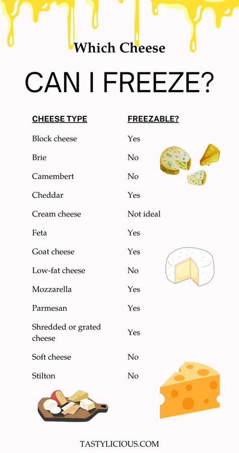 can i freeze cheese is it okay to put cheese in fridge how to store cheese how long does cheese last what cheese are allowed to freeze Freezing Cheese How To, Can You Freeze Cream Cheese, What Can I Freeze, Can You Freeze Cheese, How To Store Cheese, Freeze Cheese, Freezing Cheese, Cheese Guide, Type Of Cheese