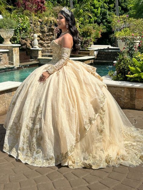 Quinceanera Photoshoot, Love Facts, Quince Dresses, 15th Birthday, Quince, Quinceanera Dresses, Makeup For Brown Eyes, Corset Dress, Quinceanera