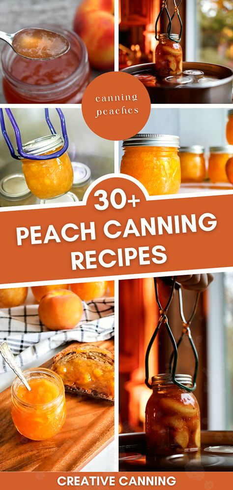 Dive into a collection of over 30 peach canning recipes that range from the classic to the unique. Discover how to can peaches in light syrup, can peach pie filling, and create a tangy peach salsa. Whether you're a beginner or a seasoned canner, this guide to canning fruit in jars using a water bath canner is a treasure trove of sweet and savory delights. Peaches Recipes Canning, Recipes To Use Peaches, Bottled Peaches Recipes, Different Ways To Can Peaches, Peach Pie Filling To Can, Preserving Peaches Recipes, Preserving Peaches Canning Recipes, Canning Recipes With Peaches, Best Peach Jam Recipe Canning